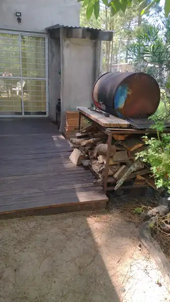 Jardín con vegetación