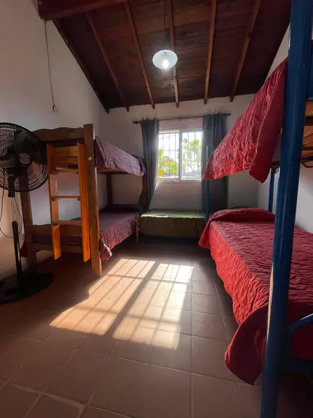 Terraza con mobiliario al aire libre