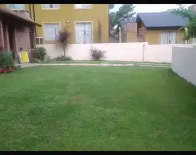 Jardín con vegetación