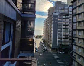 Jardín con vegetación