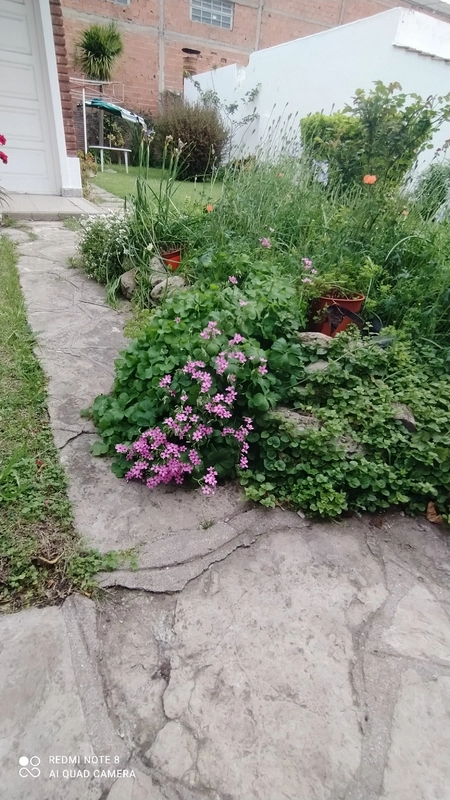 Salón comedor amplio